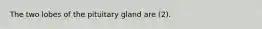 The two lobes of the pituitary gland are (2).