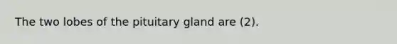 The two lobes of the pituitary gland are (2).