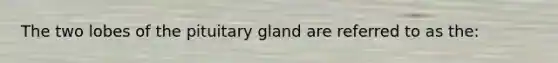 The two lobes of the pituitary gland are referred to as the: