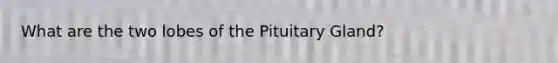 What are the two lobes of the Pituitary Gland?