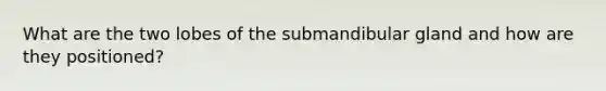 What are the two lobes of the submandibular gland and how are they positioned?