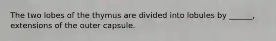 The two lobes of the thymus are divided into lobules by ______, extensions of the outer capsule.