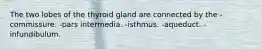The two lobes of the thyroid gland are connected by the -commissure. -pars intermedia. -isthmus. -aqueduct. -infundibulum.