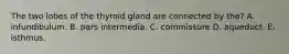 The two lobes of the thyroid gland are connected by the? A. infundibulum. B. pars intermedia. C. commissure D. aqueduct. E. isthmus.