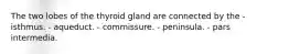 The two lobes of the thyroid gland are connected by the - isthmus. - aqueduct. - commissure. - peninsula. - pars intermedia.