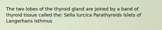 The two lobes of the thyroid gland are joined by a band of thyroid tissue called the: Sella turcica Parathyroids Islets of Langerhans Isthmus