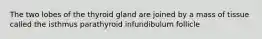 The two lobes of the thyroid gland are joined by a mass of tissue called the isthmus parathyroid infundibulum follicle