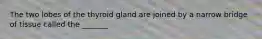 The two lobes of the thyroid gland are joined by a narrow bridge of tissue called the _______