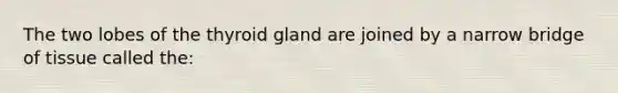 The two lobes of the thyroid gland are joined by a narrow bridge of tissue called the: