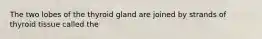 The two lobes of the thyroid gland are joined by strands of thyroid tissue called the