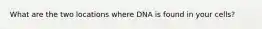 What are the two locations where DNA is found in your cells?