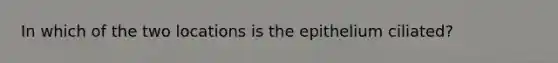 In which of the two locations is the epithelium ciliated?