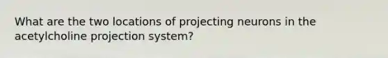 What are the two locations of projecting neurons in the acetylcholine projection system?