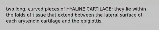 two long, curved pieces of HYALINE CARTILAGE; they lie within the folds of tissue that extend between the lateral surface of each arytenoid cartilage and the epiglottis.