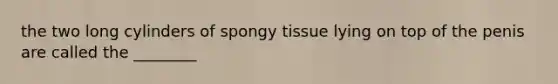 the two long cylinders of spongy tissue lying on top of the penis are called the ________