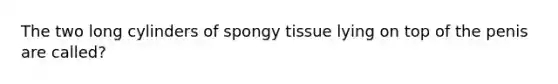 The two long cylinders of spongy tissue lying on top of the penis are called?