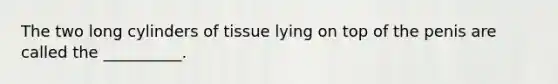 The two long cylinders of tissue lying on top of the penis are called the __________.