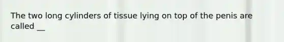 The two long cylinders of tissue lying on top of the penis are called __