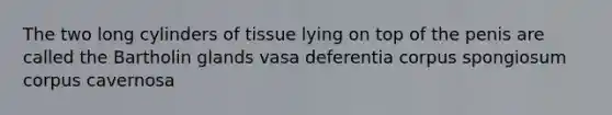 The two long cylinders of tissue lying on top of the penis are called the Bartholin glands vasa deferentia corpus spongiosum corpus cavernosa