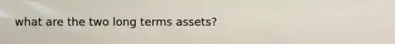 what are the two long terms assets?