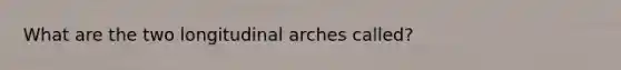 What are the two longitudinal arches called?