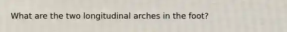 What are the two longitudinal arches in the foot?