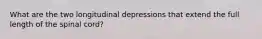 What are the two longitudinal depressions that extend the full length of the spinal cord?