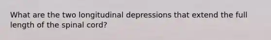 What are the two longitudinal depressions that extend the full length of the spinal cord?