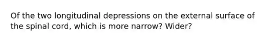 Of the two longitudinal depressions on the external surface of the spinal cord, which is more narrow? Wider?