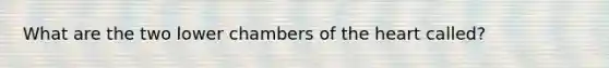 What are the two lower chambers of <a href='https://www.questionai.com/knowledge/kya8ocqc6o-the-heart' class='anchor-knowledge'>the heart</a> called?