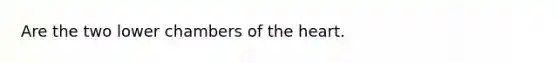 Are the two lower chambers of the heart.