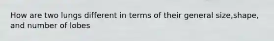 How are two lungs different in terms of their general size,shape, and number of lobes