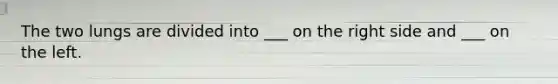 The two lungs are divided into ___ on the right side and ___ on the left.