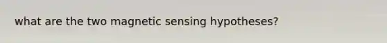 what are the two magnetic sensing hypotheses?