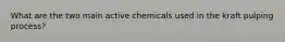 What are the two main active chemicals used in the kraft pulping process?