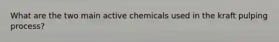 What are the two main active chemicals used in the kraft pulping process?