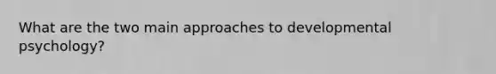 What are the two main approaches to developmental psychology?