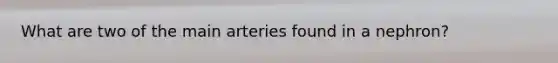 What are two of the main arteries found in a nephron?