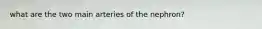 what are the two main arteries of the nephron?