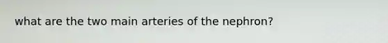 what are the two main arteries of the nephron?