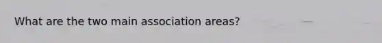 What are the two main association areas?