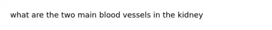 what are the two main <a href='https://www.questionai.com/knowledge/kZJ3mNKN7P-blood-vessels' class='anchor-knowledge'>blood vessels</a> in the kidney