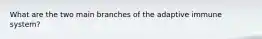 What are the two main branches of the adaptive immune system?