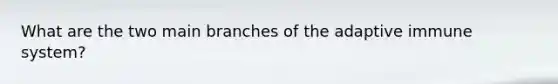 What are the two main branches of the adaptive immune system?