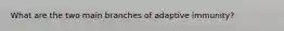 What are the two main branches of adaptive immunity?