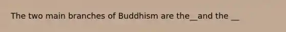 The two main branches of Buddhism are the__and the __