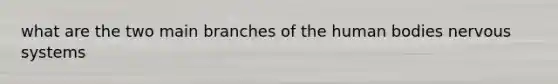 what are the two main branches of the human bodies <a href='https://www.questionai.com/knowledge/kThdVqrsqy-nervous-system' class='anchor-knowledge'>nervous system</a>s
