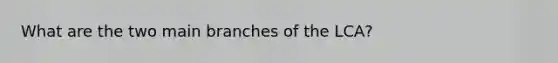 What are the two main branches of the LCA?