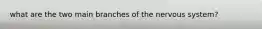 what are the two main branches of the nervous system?