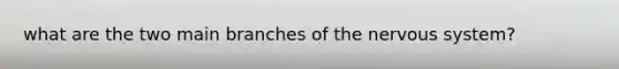 what are the two main branches of the nervous system?